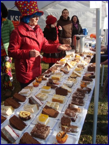 Faschingsumzug 2015 (Fotos Franz Amon)